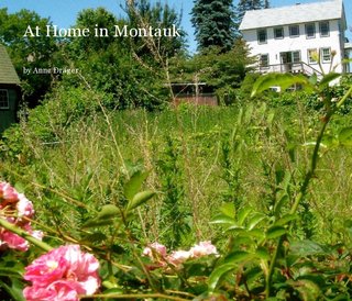 At Home in Montauk