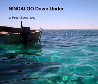 NINGALOO Down Under
