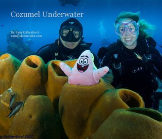 Cozumel Underwater