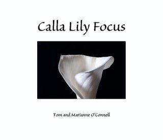 Calla Lily Focus