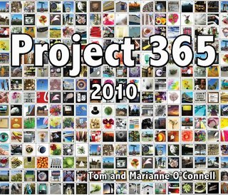 Project 365