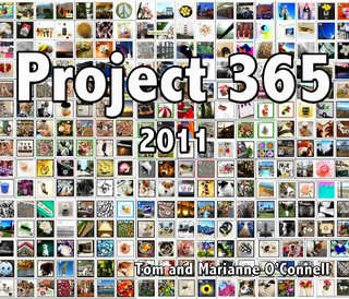 Project 365