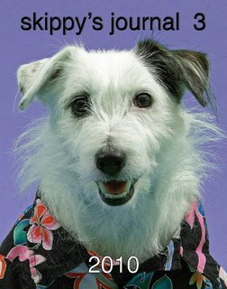 skippy's journal 3