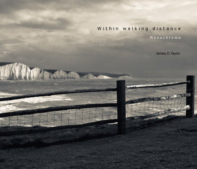 W i t h i n W a l k i n g D i s t a n c e  Monochrome