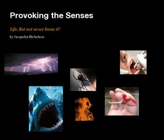 Provoking the Senses