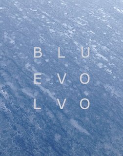 Blu Evo Lvo