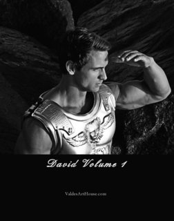 David Volume 1