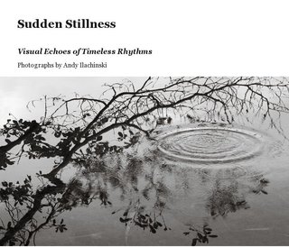 Sudden Stillness