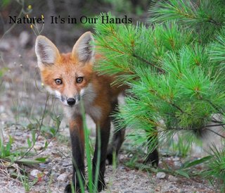 Nature: It's in Our Hands