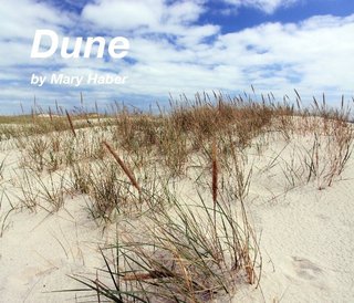 Dune by Mary Haber