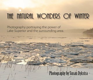 The Natural Wonders of Winter