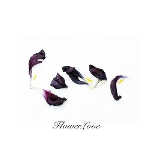FlowerLove