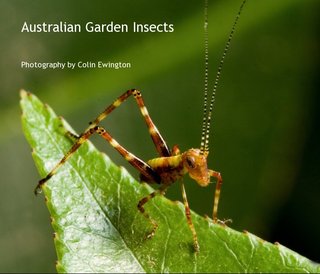 Australian Garden Insects