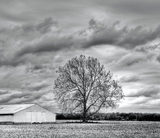 Being There... Photography by Rita Pignato