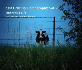 21st Century Photography Vol. 2