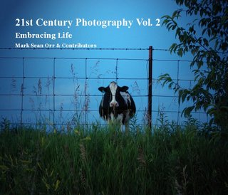21st Century Photography Vol. 2