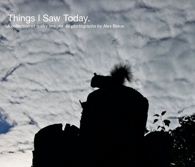 Things I Saw Today. A collection of quirky images. All photographs by Alex Beker.