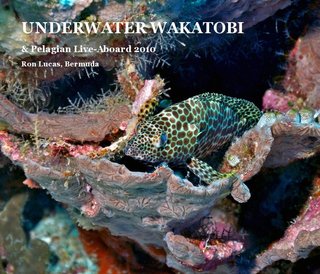 UNDERWATER WAKATOBI