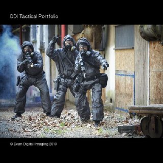 DDI Tactical Portfolio