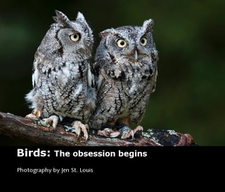Birds: The obsession begins