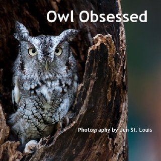 Owl Obsessed