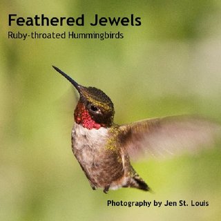 Feathered JewelsRuby-throated Hummingbirds