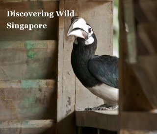 Discovering Wild