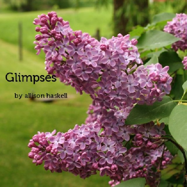 Various Glimpses Volume 2 Various Glimpses Volume 2