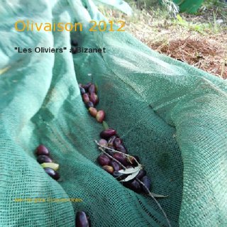 Olivaison 2012