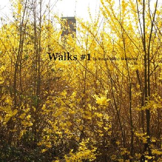 Walks #1 by Steven Wood-Matthews