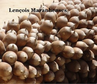Lençois Maranhenses