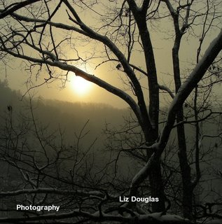 Liz Douglas Photography