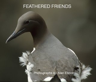 FEATHERED FRIENDS