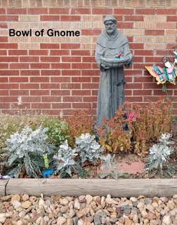Bowl of Gnome