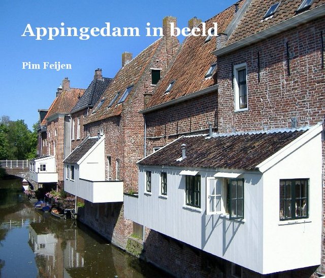 Appingedam in beeld