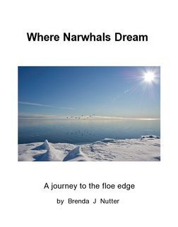 Where Narwhals Dream