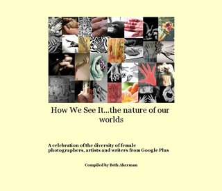 How We See It...the nature of our worlds