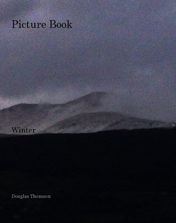 Picture Book