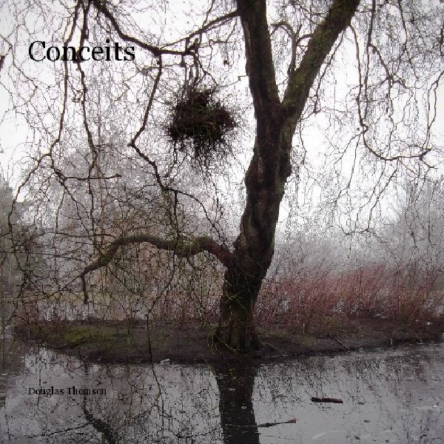 Conceits