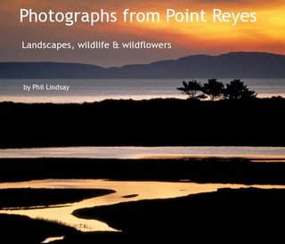 Photographs from Point Reyes
