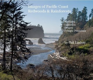 Images of Coastal Redwoods & Rainforests