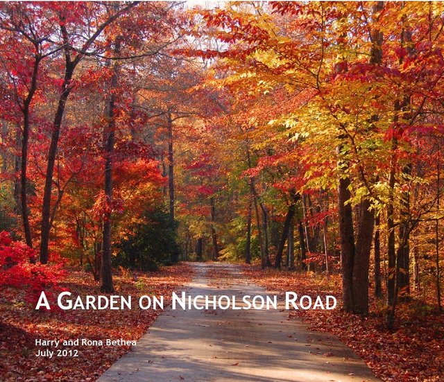 A GARDEN ON NICHOLSON ROAD