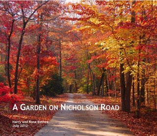 A GARDEN ON NICHOLSON ROAD