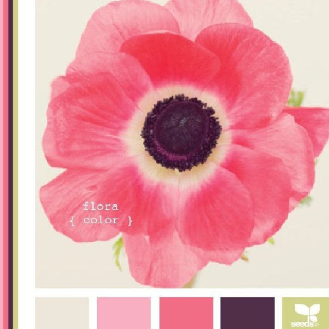 Design Seeds