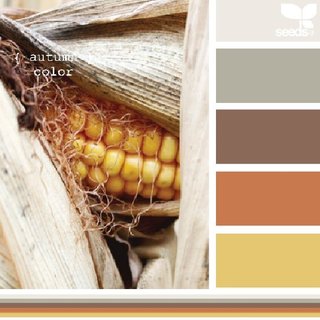 Design Seeds