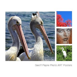 Geoff Payne Photo ART Posters