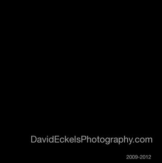 DavidEckelsPhotography.com