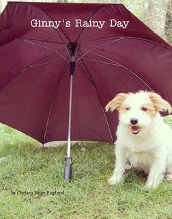 Ginny's Rainy Day