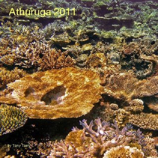 Athuruga 2011