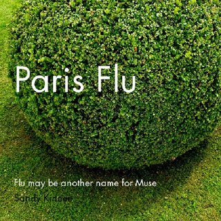 Paris Flu